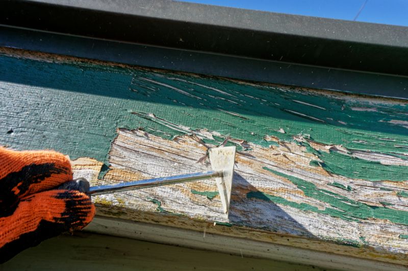 Improves Paint Adhesion